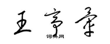 梁錦英王亭暈草書個性簽名怎么寫