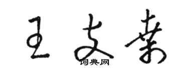 駱恆光王支桑草書個性簽名怎么寫
