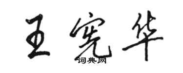 駱恆光王憲華行書個性簽名怎么寫