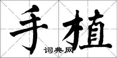 翁闓運手植楷書怎么寫