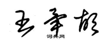 朱錫榮王畢胡草書個性簽名怎么寫