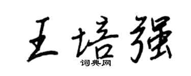 王正良王培強行書個性簽名怎么寫