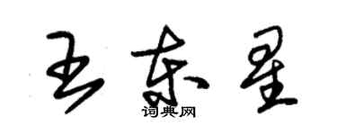 朱錫榮王東星草書個性簽名怎么寫
