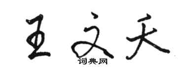 駱恆光王文夭行書個性簽名怎么寫