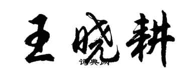 胡問遂王曉耕行書個性簽名怎么寫