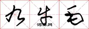 朱錫榮九牛毛草書怎么寫