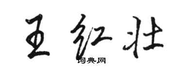 駱恆光王紅壯行書個性簽名怎么寫