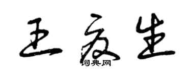 曾慶福王夏生草書個性簽名怎么寫