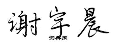 曾慶福謝宇晨行書個性簽名怎么寫