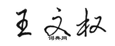 駱恆光王文權行書個性簽名怎么寫