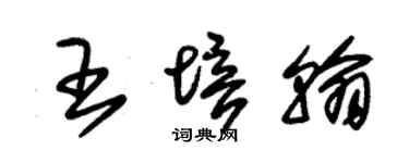 朱錫榮王培翰草書個性簽名怎么寫