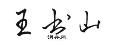 駱恆光王書山行書個性簽名怎么寫
