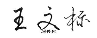 駱恆光王文標行書個性簽名怎么寫