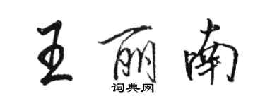 駱恆光王麗南行書個性簽名怎么寫