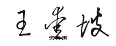 駱恆光王愛坡草書個性簽名怎么寫