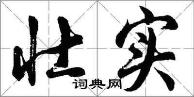 胡問遂壯實行書怎么寫