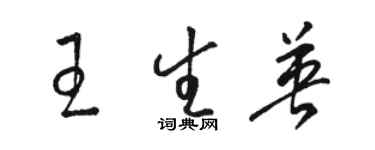 駱恆光王生英草書個性簽名怎么寫