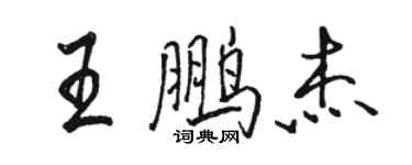 駱恆光王鵬傑行書個性簽名怎么寫