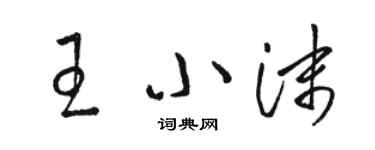 駱恆光王小沫草書個性簽名怎么寫