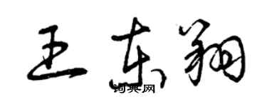 曾慶福王東翔草書個性簽名怎么寫