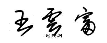 朱錫榮王雲富草書個性簽名怎么寫