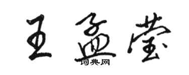 駱恆光王孟瑩行書個性簽名怎么寫