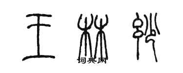 陳墨王林妙篆書個性簽名怎么寫