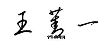 梁錦英王菁一草書個性簽名怎么寫
