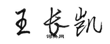 駱恆光王長凱行書個性簽名怎么寫