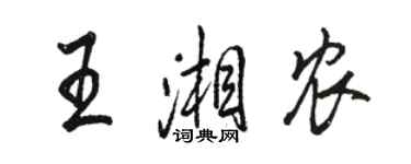 駱恆光王湘農行書個性簽名怎么寫