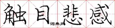 龐中華觸目悲感楷書怎么寫