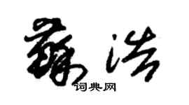 朱錫榮蘇浩草書個性簽名怎么寫