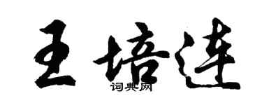 胡問遂王培連行書個性簽名怎么寫
