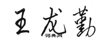 駱恆光王龍勤行書個性簽名怎么寫