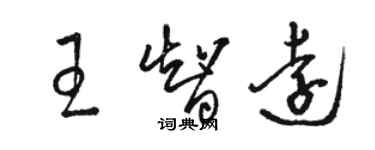 駱恆光王智遠草書個性簽名怎么寫