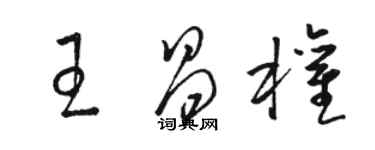 駱恆光王昌權草書個性簽名怎么寫