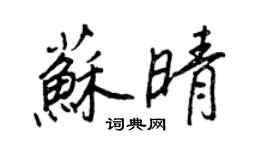 王正良蘇晴行書個性簽名怎么寫