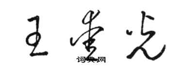 駱恆光王愛光草書個性簽名怎么寫