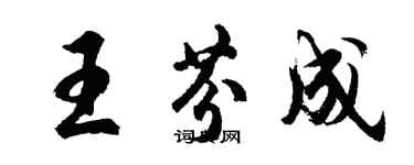 胡問遂王芬成行書個性簽名怎么寫