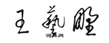 駱恆光王藝野草書個性簽名怎么寫