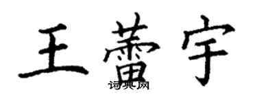 丁謙王蕾宇楷書個性簽名怎么寫