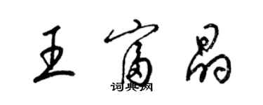 梁錦英王富晶草書個性簽名怎么寫