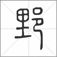 𨛋篆書