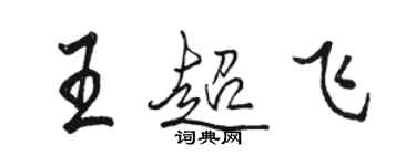 駱恆光王超飛行書個性簽名怎么寫