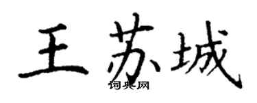 丁謙王蘇城楷書個性簽名怎么寫