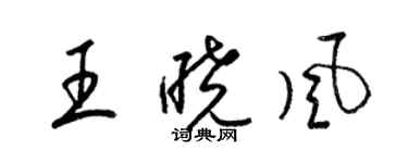 梁錦英王曉風草書個性簽名怎么寫