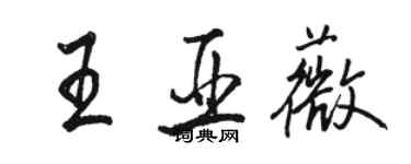 駱恆光王亞薇行書個性簽名怎么寫