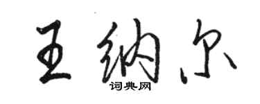 駱恆光王納爾行書個性簽名怎么寫