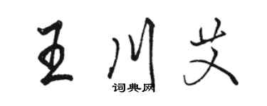 駱恆光王川艾行書個性簽名怎么寫