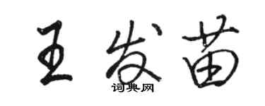 駱恆光王發苗行書個性簽名怎么寫